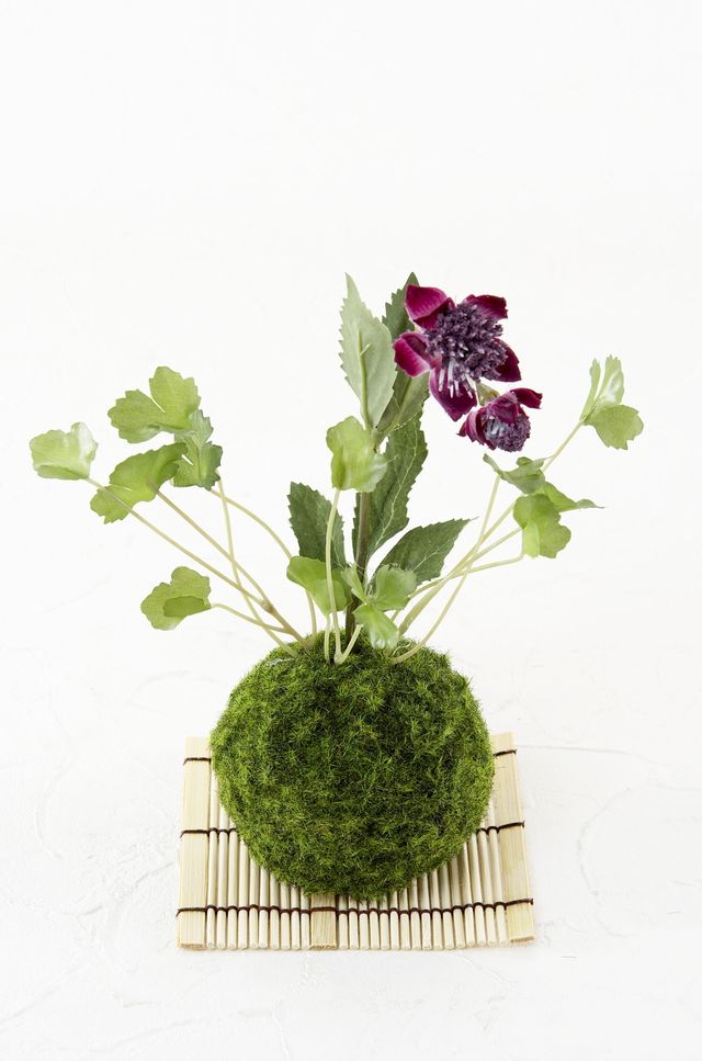 【造花 観葉植物 インテリアグリーン】苔玉 和風アレンジ12（下皿付き）