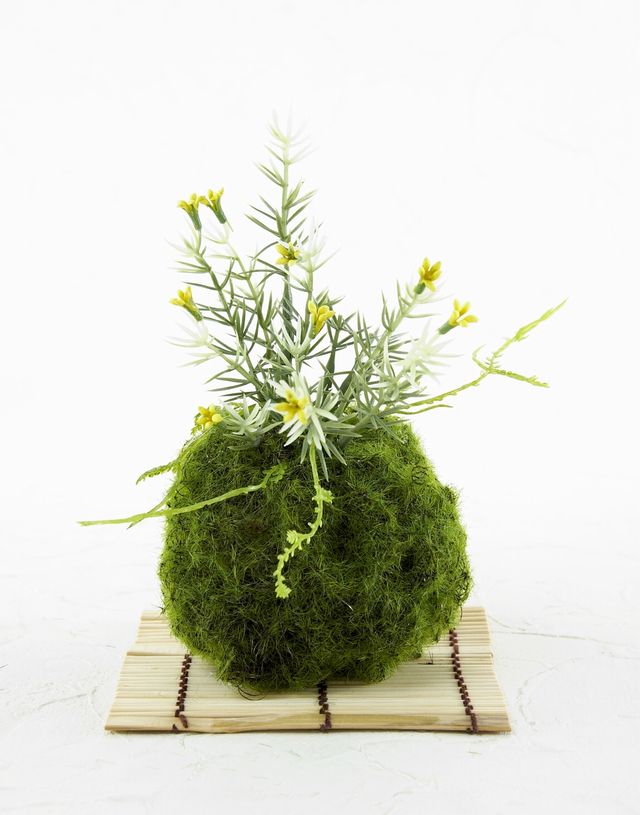 【造花 観葉植物 インテリアグリーン】苔玉 和風アレンジ20（下皿付き）