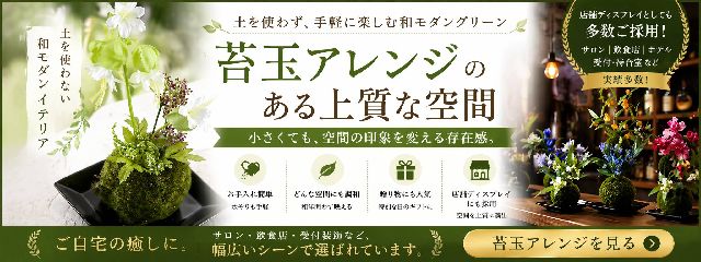 苔玉アレンジメント