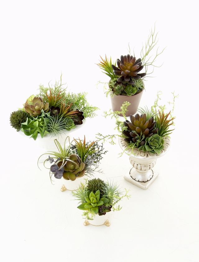 造花インテリアグリーン】スタイリッシュな多肉植物アレンジF｜造花