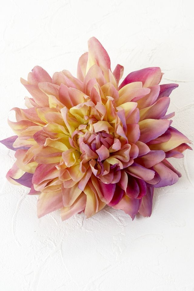 【コサージュ＆髪飾り・2WAYタイプ】クィーンダリア/ピンク×パープルミックス