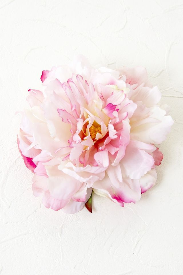 【コサージュ＆髪飾り・2WAYタイプ】タフィー／ソフトオレンジ