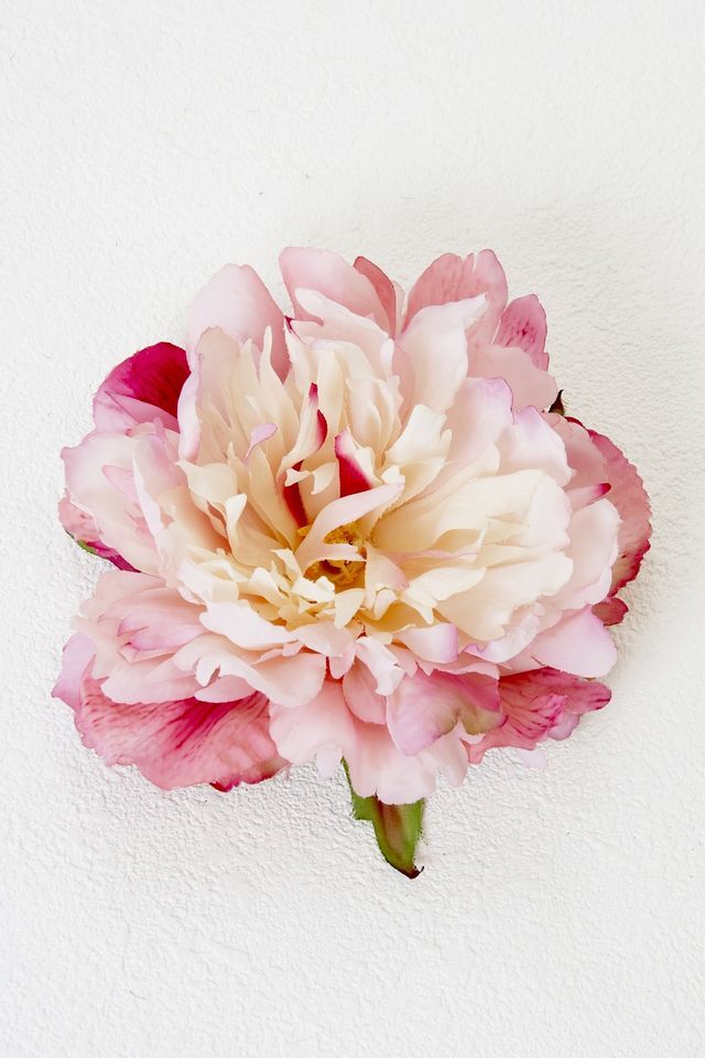 【コサージュ＆髪飾り・2WAYタイプ】タフィー／ソフトオレンジ