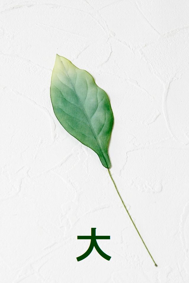 【アートフラワーパーツ・造花・染花・布花】シャクナゲリーフ（大）