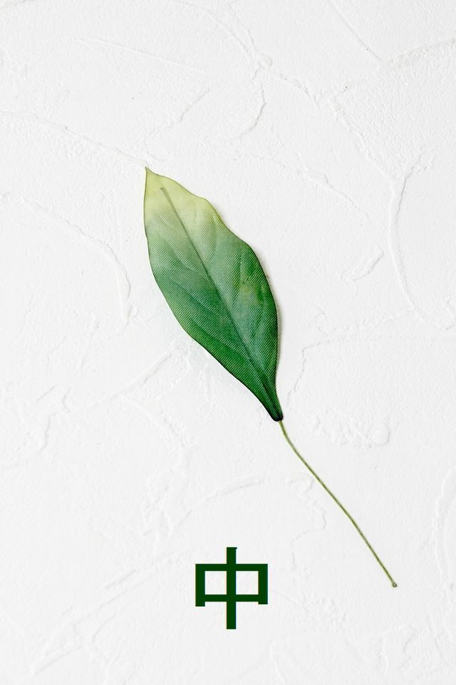 【アートフラワーパーツ・造花・染花・布花】シャクナゲリーフ（中）