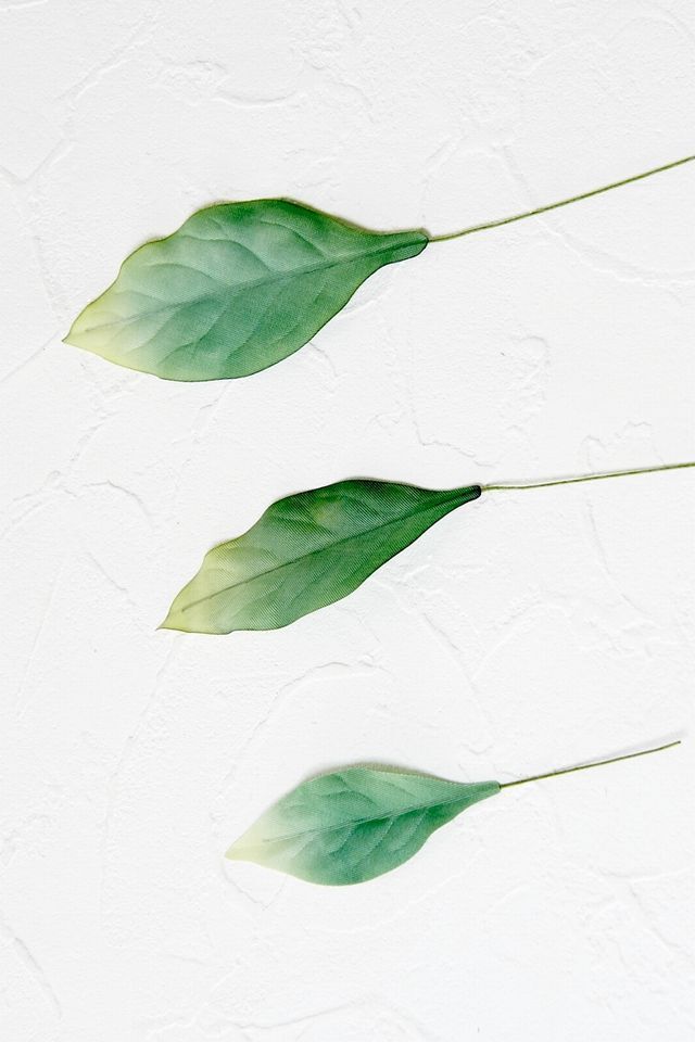 【アートフラワーパーツ・造花・染花・布花】シャクナゲリーフ（中）