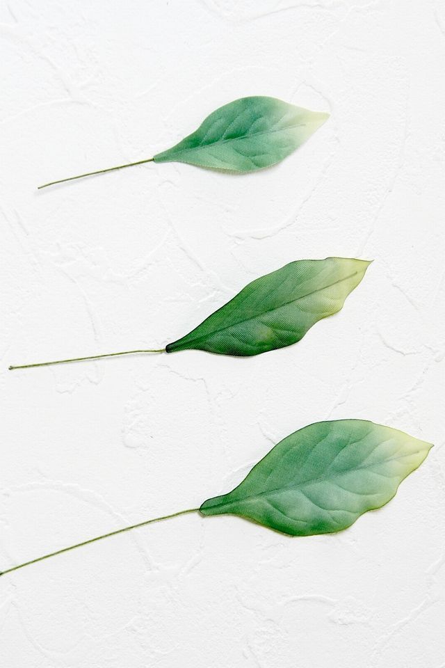 【アートフラワーパーツ・造花・染花・布花】シャクナゲリーフ（中）