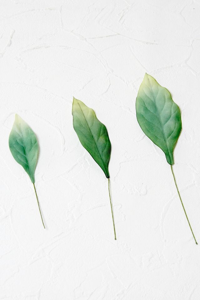 【アートフラワーパーツ・造花・染花・布花】シャクナゲリーフ（中）