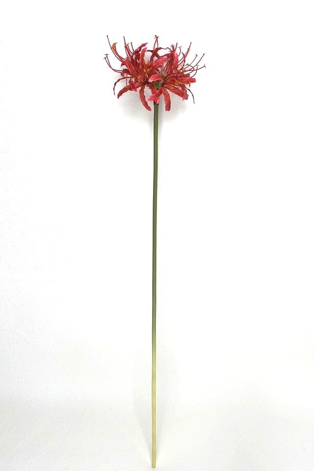 彼岸花／曼珠沙華・ネリネ（ダイヤモンドリリー）・リコリス【造花