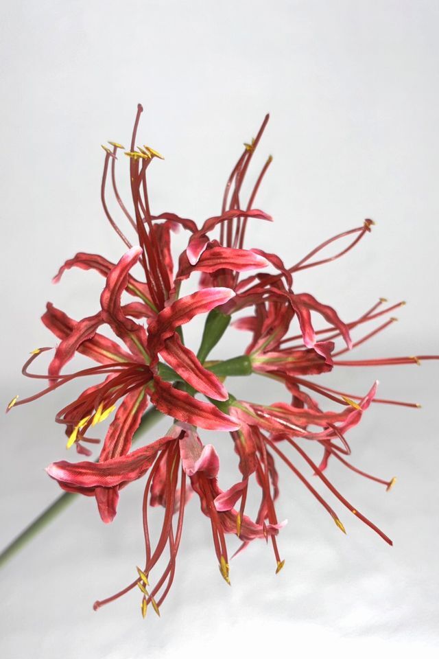 彼岸花／曼珠沙華・ネリネ（ダイヤモンドリリー）・リコリス【造花