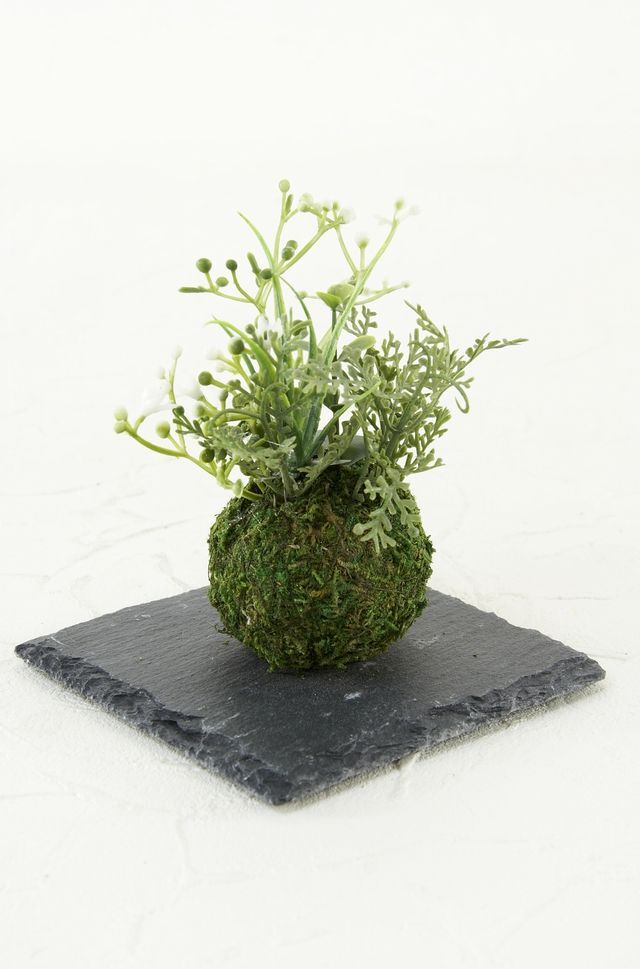 【造花 観葉植物 インテリアグリーン】miniこけ玉 リトルジャパーニーズ（下皿付き）C