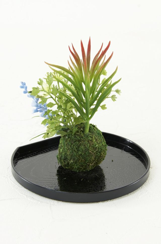 【造花 観葉植物 インテリアグリーン】miniこけ玉 リトルジャパーニーズ（下皿付き）D