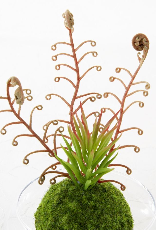 造花 観葉植物 インテリアグリーン】こけ玉 ジャパニーズモダン