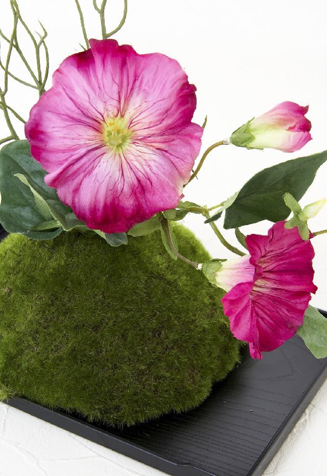 【造花 観葉植物 インテリアグリーン】こけ玉 ジャパーニーズモダン?（下皿付き）