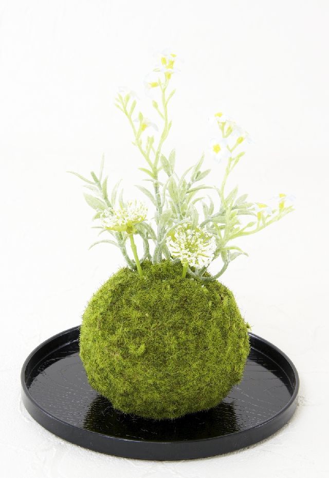 【造花 観葉植物 インテリアグリーン】こけ玉 和アレンジＦ（下皿付き）