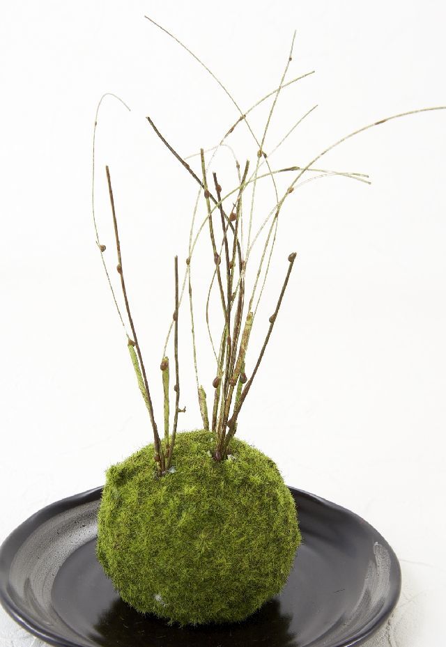 【造花 観葉植物 インテリアグリーン】こけ玉 和アレンジＫ（下皿付き）