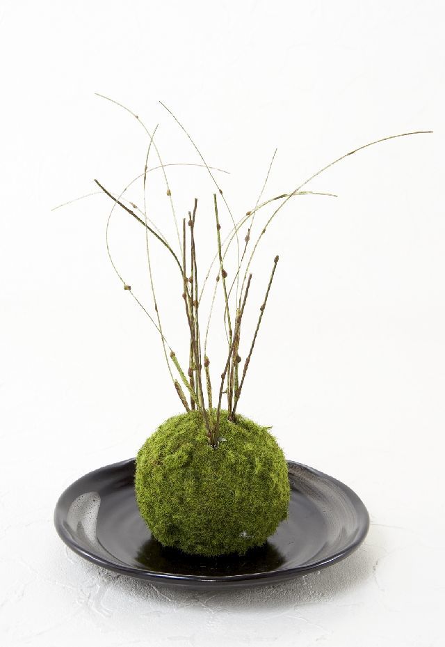 【造花 観葉植物 インテリアグリーン】こけ玉 和アレンジＫ（下皿付き）