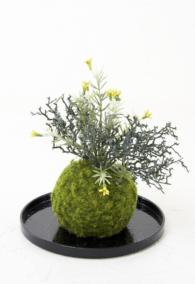 【造花 観葉植物 インテリアグリーン】こけ玉 和アレンジＬ（下皿付き）