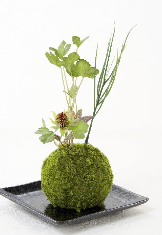 【造花 観葉植物 インテリアグリーン】こけ玉 和アレンジＰ（下皿付き）