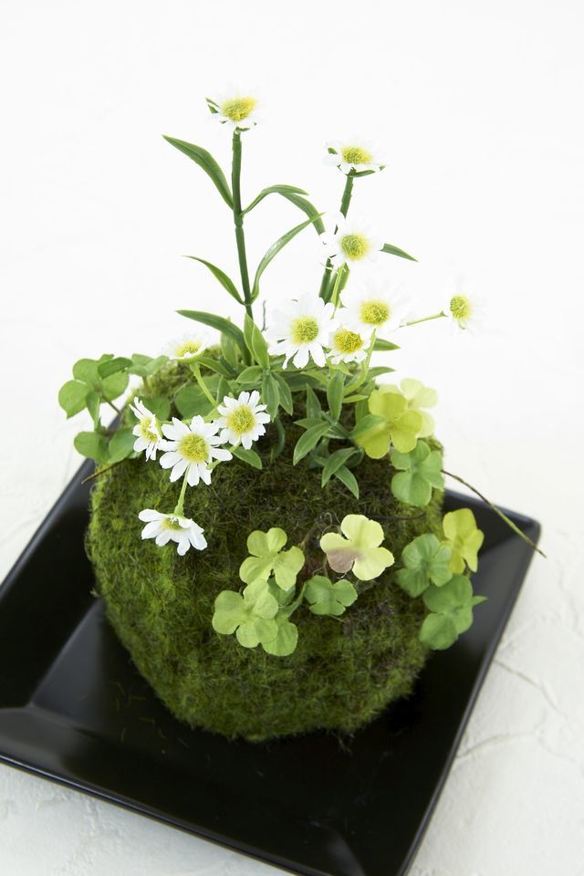 【造花 観葉植物 インテリアグリーン】苔玉 和風アレンジ8（下皿付き）