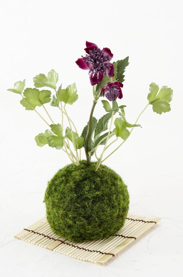 【造花 観葉植物 インテリアグリーン】苔玉 和風アレンジ12（下皿付き）