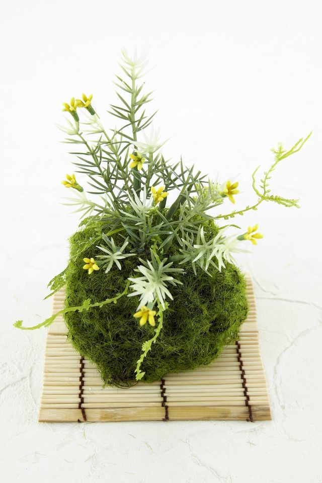 【造花 観葉植物 インテリアグリーン】苔玉 和風アレンジ20（下皿付き）
