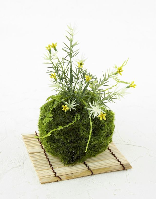 【造花 観葉植物 インテリアグリーン】苔玉 和風アレンジ20（下皿付き）