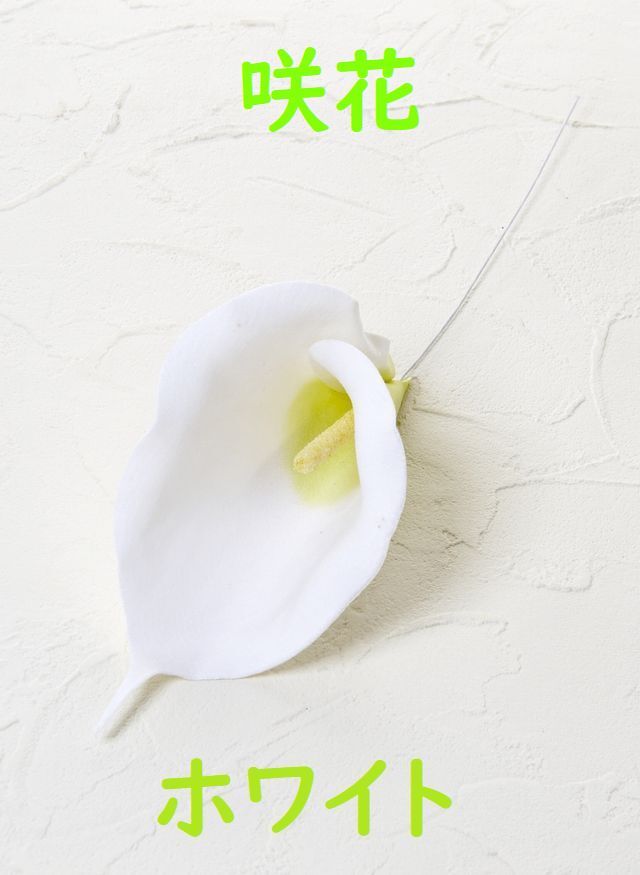 【アートフラワーパーツ・造花・染花・布花】カラー（咲花）