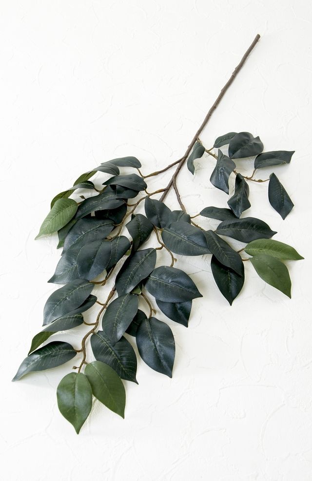 【造花・アートフラワー・シルクフラワー】榊（サカキ）Lサイズ