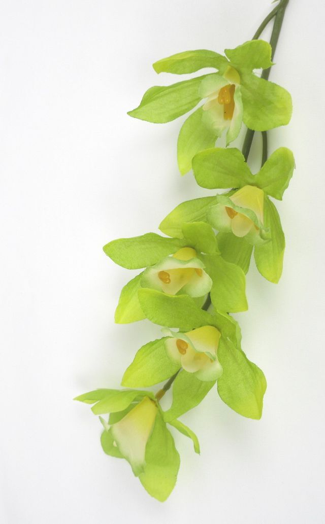 造花・アーティフィシャルフラワー・アートフラワー・シルクフラワー