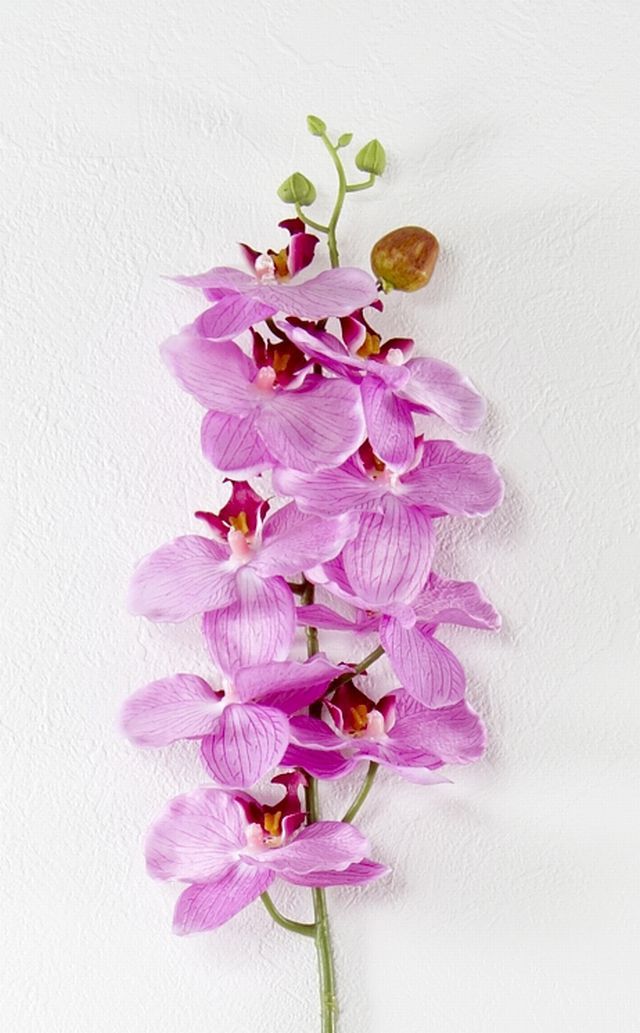 【造花・アートフラワー・シルクフラワー】オーキッド・胡蝶蘭（パープル）
