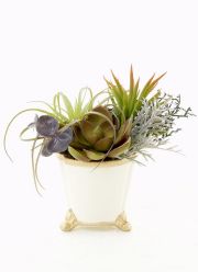【造花インテリアグリーン】スタイリッシュな多肉植物アレンジＧ