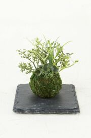 【造花 観葉植物 インテリアグリーン】miniこけ玉 リトルジャパーニーズ（下皿付き）C