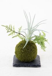 【造花 観葉植物 インテリアグリーン】こけ玉 ジャパニーズモダンアレンジメントF（下皿付き）