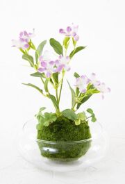 【造花 観葉植物 インテリアグリーン】こけ玉 ジャパニーズモダンアレンジメント（ガラス水盤花器付き）B