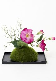 【造花 観葉植物 インテリアグリーン】こけ玉 ジャパーニーズモダンⅠ（下皿付き）