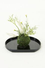 【造花 観葉植物 インテリアグリーン】miniこけ玉 リトルジャパーニーズ（下皿付き）F