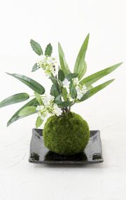 【造花 観葉植物 インテリアグリーンアレンジメント】こけ玉 和アレンジＣ（下皿付き）