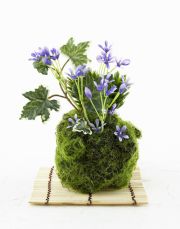 【造花 観葉植物 インテリアグリーン】苔玉 和風アレンジ19（下皿付き）
