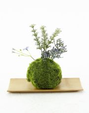 【造花 観葉植物 インテリアグリーン】苔玉 和風アレンジ23（下皿付き）