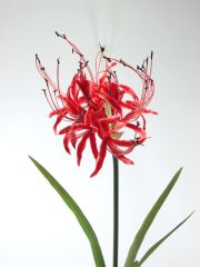 彼岸花／曼珠沙華【造花・アーティフィシャルフラワー・シルクフラワー】