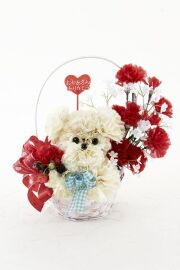 【母の日フラワーギフト・造花・アーティフィシャルフラワー】プードルカーネーションデラックス（レッド）