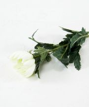 【造花・アートフラワー・シルクフラワー】菊（クリーム）
