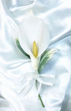 カラーのコサージュ