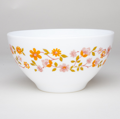 アルコパルボウル（sciania）