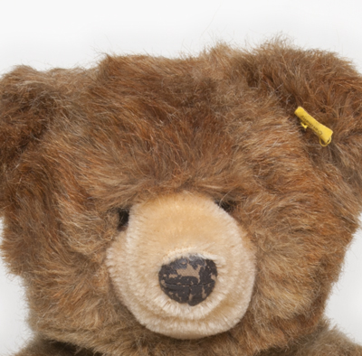 Germany Bear　33cm