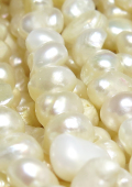 バロックパール 淡水真珠ビーズ（ホワイト系）5～6mm（1連）