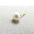 淡水パールピアス（ホワイト系）/ボタン6mm「14kgf（ゴールドフィルド）」（2ペア）