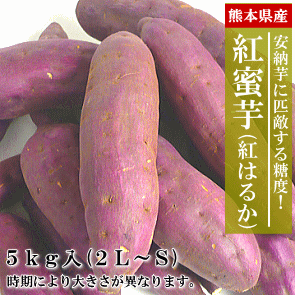 驚きの８８８円！熊本県産「紅蜜芋（紅はるか）」１．５ｋｇ入