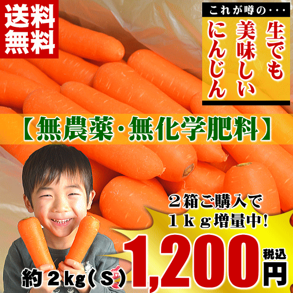 にんじん,ニンジン,人参,無農薬,無化学肥料,有機,安全,安心,ジュース,野菜ジュース,送料無料,いいもの【あるファーム】九州